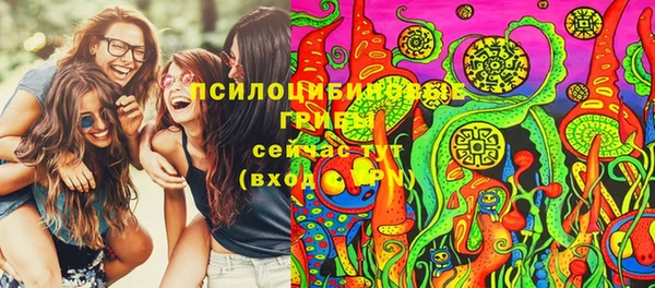 гидра Приозерск