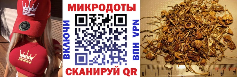 сколько стоит  кракен ССЫЛКА  Псилоцибиновые грибы мицелий  Яранск 
